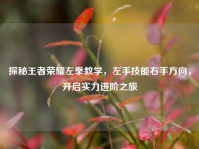 探秘王者荣耀左拳教学，左手技能右手方向，开启实力进阶之旅