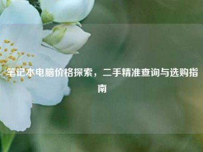 笔记本电脑价格探索，二手精准查询与选购指南