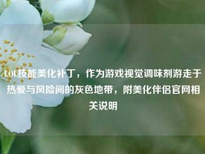 LOL技能美化补丁，作为游戏视觉调味剂游走于热爱与风险间的灰色地带，附美化伴侣官网相关说明