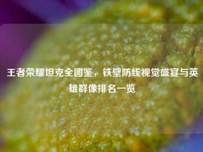王者荣耀坦克全图鉴，铁壁防线视觉盛宴与英雄群像排名一览