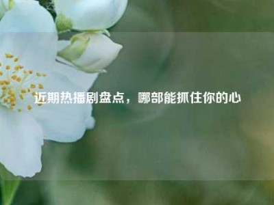 近期热播剧盘点，哪部能抓住你的心