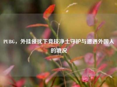 PUBG，外挂侵扰下竞技净土守护与遭遇外国人的境况