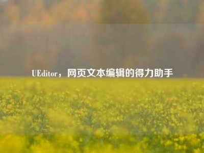 UEditor，网页文本编辑的得力助手