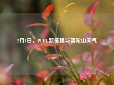 2月1日，PUBG新征程与普陀山天气