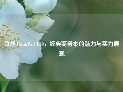 联想ThinkPad E40，经典商务本的魅力与实力展现