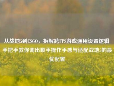 从战地5到CSGO，拆解跨FPS游戏通用设置逻辑 手把手教你调出顺手操作手感与适配战地5的最优配置