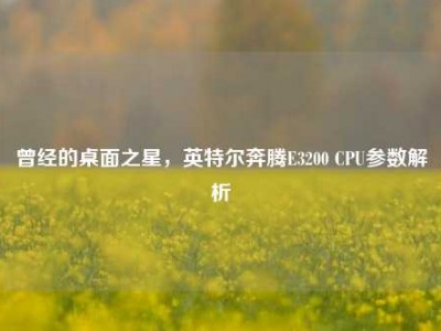 曾经的桌面之星，英特尔奔腾E3200 CPU参数解析