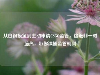 从白银摸鱼到主动申请CSGO监管，这绝非一时脑热，带你读懂监管规则