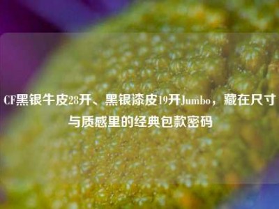CF黑银牛皮28开、黑银漆皮19开Jumbo，藏在尺寸与质感里的经典包款密码