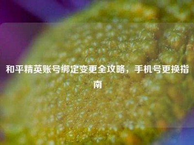 和平精英账号绑定变更全攻略，手机号更换指南