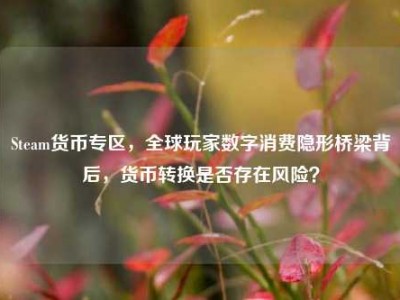 Steam货币专区，全球玩家数字消费隐形桥梁背后，货币转换是否存在风险？