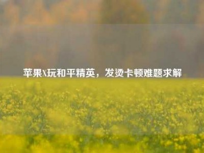 苹果X玩和平精英，发烫卡顿难题求解
