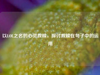 以LOL之名的心灵救赎，探讨救赎在句子中的运用