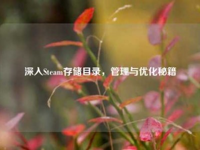 深入Steam存储目录，管理与优化秘籍