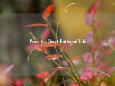 Press the Reset Button of Life