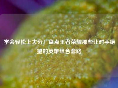学会轻松上大分！盘点王者荣耀那些让对手绝望的英雄组合套路