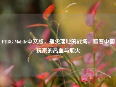PUBG Mobile中文版，指尖落地的战场，藏着中国玩家的热血与烟火