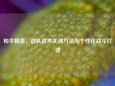 和平精英，战队战术关闭方法与个性化战斗打造