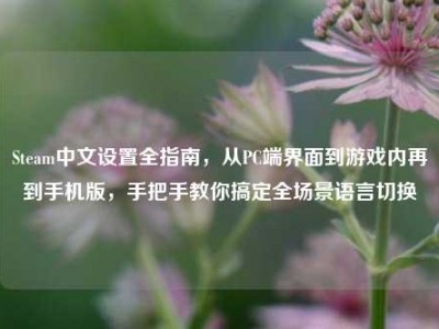 Steam中文设置全指南，从PC端界面到游戏内再到手机版，手把手教你搞定全场景语言切换