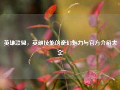 英雄联盟，英雄技能的奇幻魅力与官方介绍大全