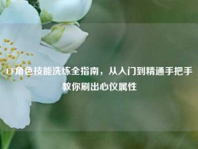 CF角色技能洗练全指南，从入门到精通手把手教你刷出心仪属性
