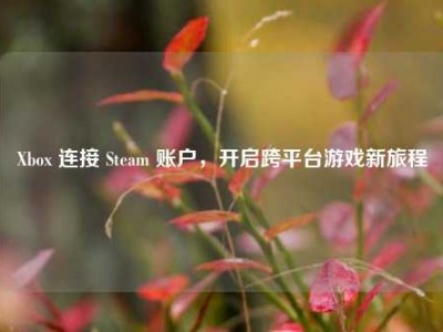 Xbox 连接 Steam 账户，开启跨平台游戏新旅程