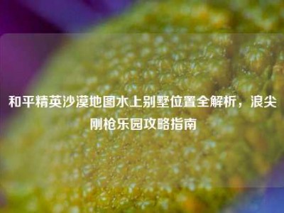 和平精英沙漠地图水上别墅位置全解析，浪尖刚枪乐园攻略指南