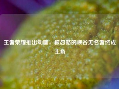 王者荣耀推出动画，被忽略的峡谷无名者终成主角