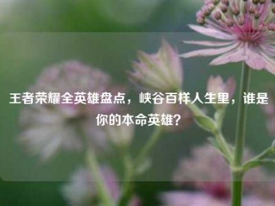 王者荣耀全英雄盘点，峡谷百样人生里，谁是你的本命英雄？