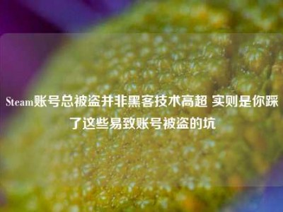Steam账号总被盗并非黑客技术高超 实则是你踩了这些易致账号被盗的坑