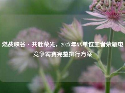 燃战峡谷·共赴荣光，202X年XX单位王者荣耀电竞争霸赛完整执行方案