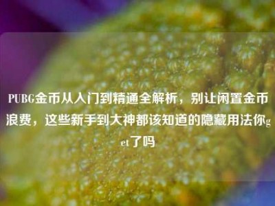PUBG金币从入门到精通全解析，别让闲置金币浪费，这些新手到大神都该知道的隐藏用法你get了吗