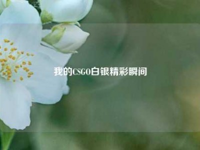 我的CSGO白银精彩瞬间