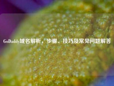 GoDaddy域名解析，步骤、技巧及常见问题解答
