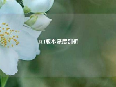 15.1版本深度剖析