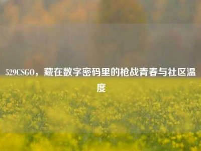529CSGO，藏在数字密码里的枪战青春与社区温度