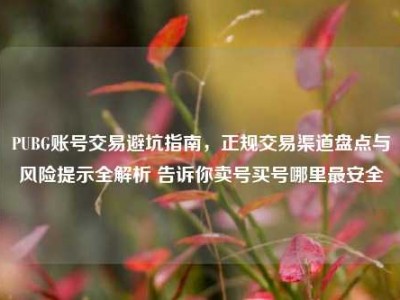 PUBG账号交易避坑指南，正规交易渠道盘点与风险提示全解析 告诉你卖号买号哪里最安全