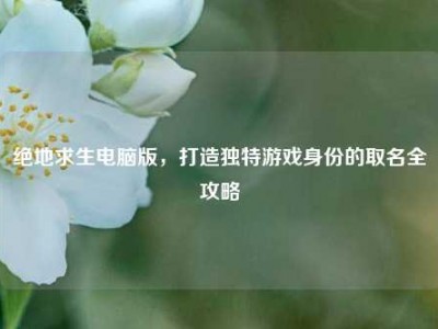 绝地求生电脑版，打造独特游戏身份的取名全攻略
