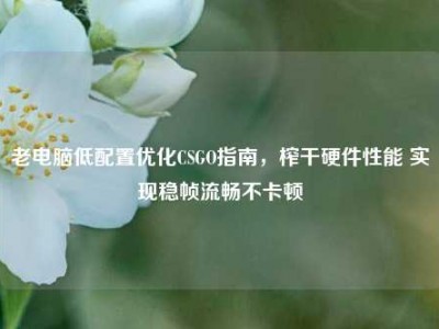 老电脑低配置优化CSGO指南，榨干硬件性能 实现稳帧流畅不卡顿