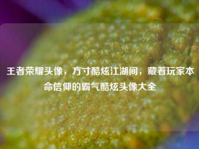 王者荣耀头像，方寸酷炫江湖间，藏着玩家本命信仰的霸气酷炫头像大全