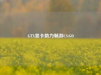 GTX显卡助力畅游CS:GO