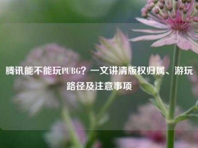 腾讯能不能玩PUBG？一文讲清版权归属、游玩路径及注意事项
