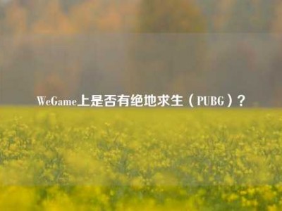 WeGame上是否有绝地求生（PUBG）？
