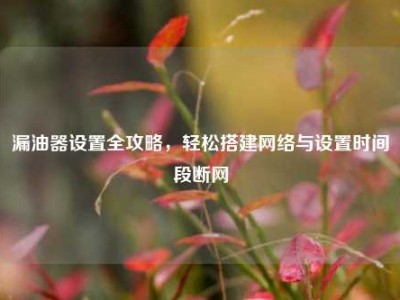 漏油器设置全攻略，轻松搭建网络与设置时间段断网