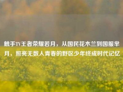 触手TV王者荣耀若月，从国民花木兰到国服芈月，照亮无数人青春的野区少年终成时代记忆