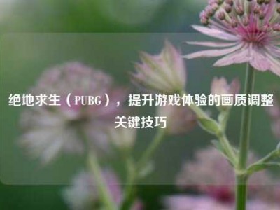 绝地求生（PUBG），提升游戏体验的画质调整关键技巧