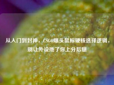 从入门到封神，CSGO爆头鼠标硬核选择逻辑，别让外设拖了你上分后腿