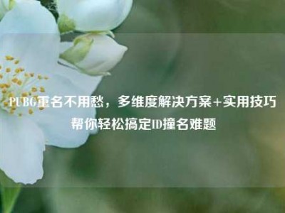 PUBG重名不用愁，多维度解决方案+实用技巧帮你轻松搞定ID撞名难题