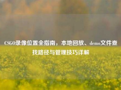 CSGO录像位置全指南，本地回放、demo文件查找路径与管理技巧详解