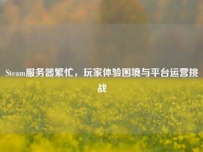 Steam服务器繁忙，玩家体验困境与平台运营挑战
